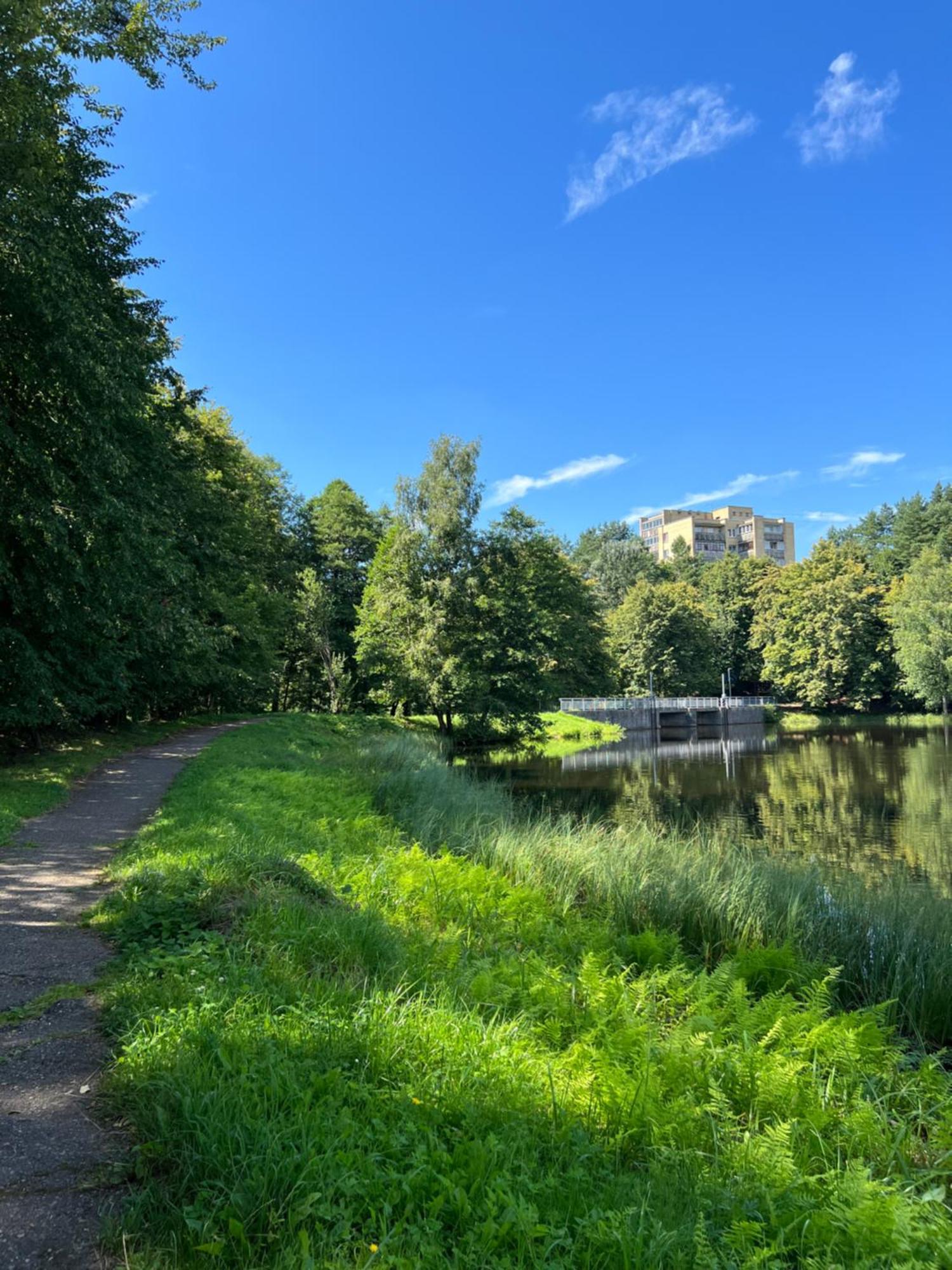 Saules Tako Apartamentai Друскининкай Экстерьер фото